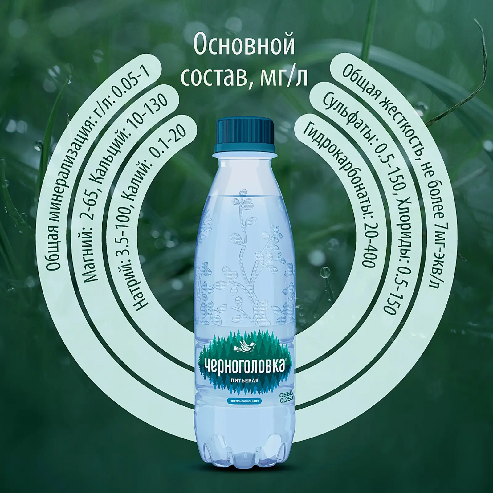 Вода Черноголовка питьевая негазированная 250мл