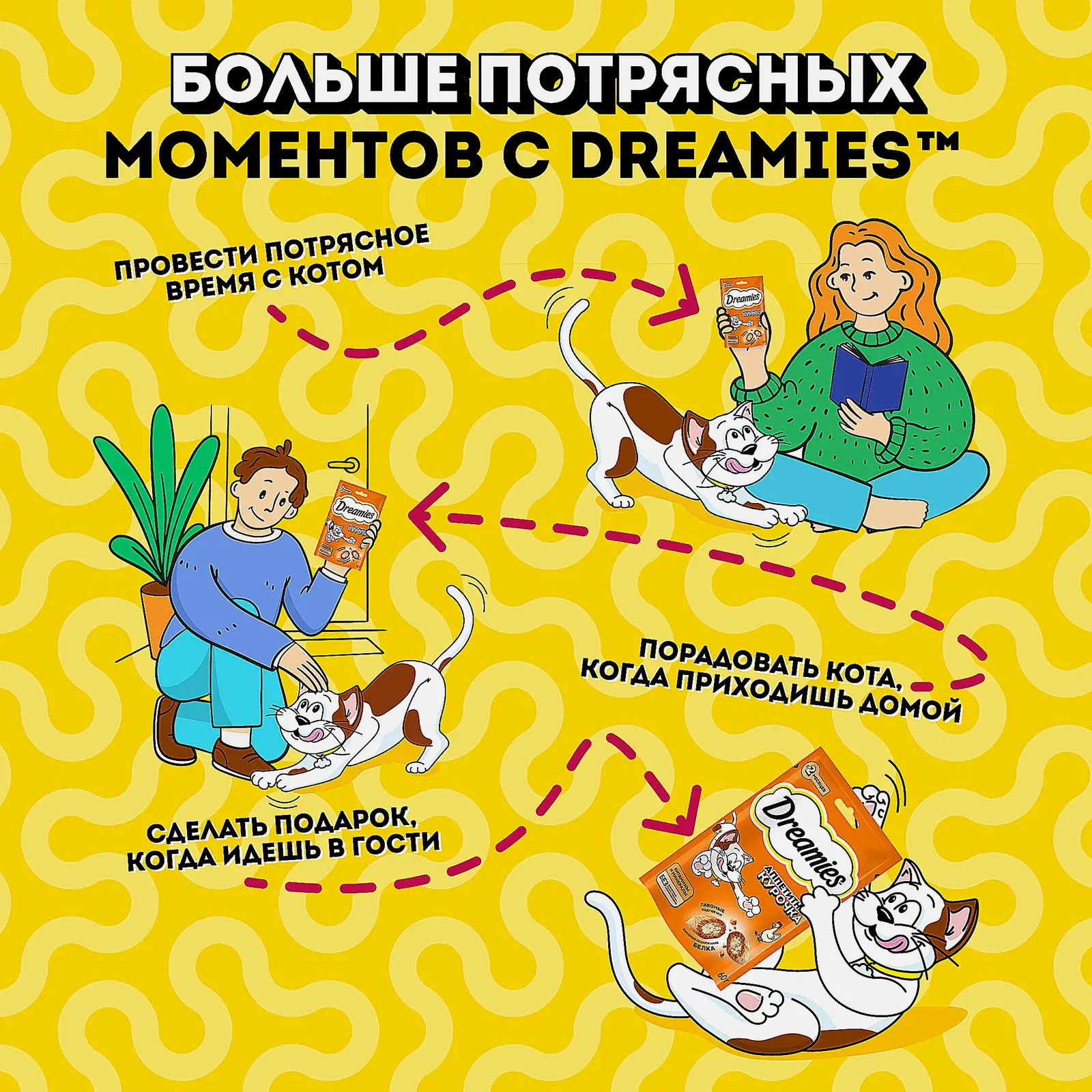 Лакомство для кошек с курицей Dreamies 60г - фото 3