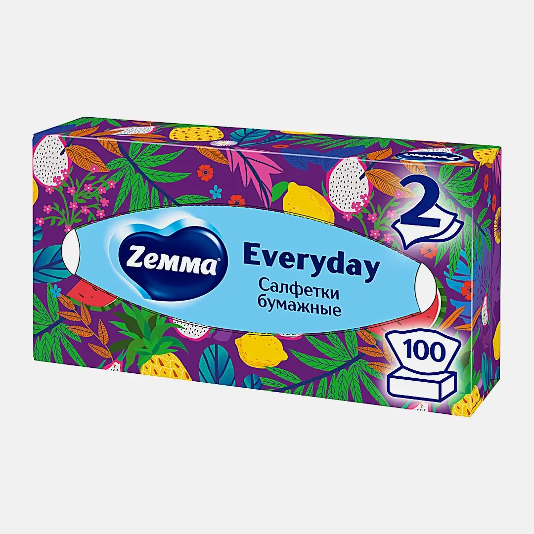 Салфетки бумажные Zemma Everyday 2 слоя 100шт в ассортименте - фото 4