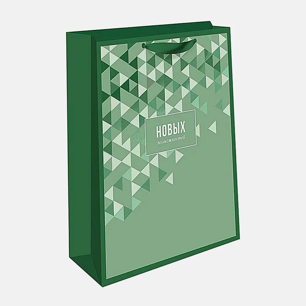 Подарочный пакет стандарт 18*22.3*10см в ассортименте