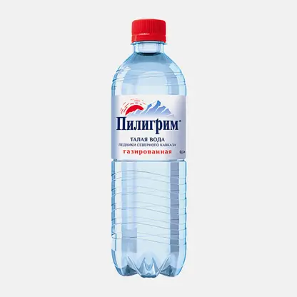 Вода Пилигрим питьевая столовая газированная 500мл