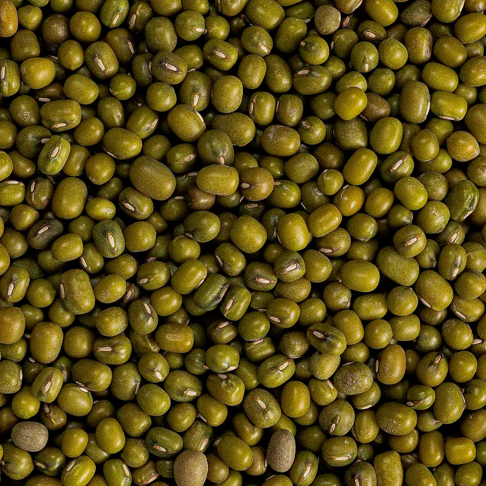Маш Premiere of Taste 450г - фото 2