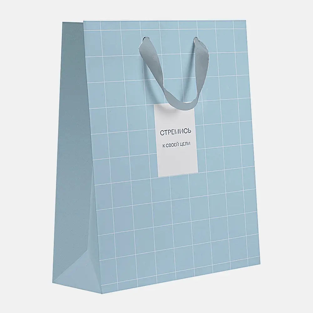 Пакет подарочный Пакетико матовая ламинация LV ПДЛ М 31.5*25.5 см в ассортименте