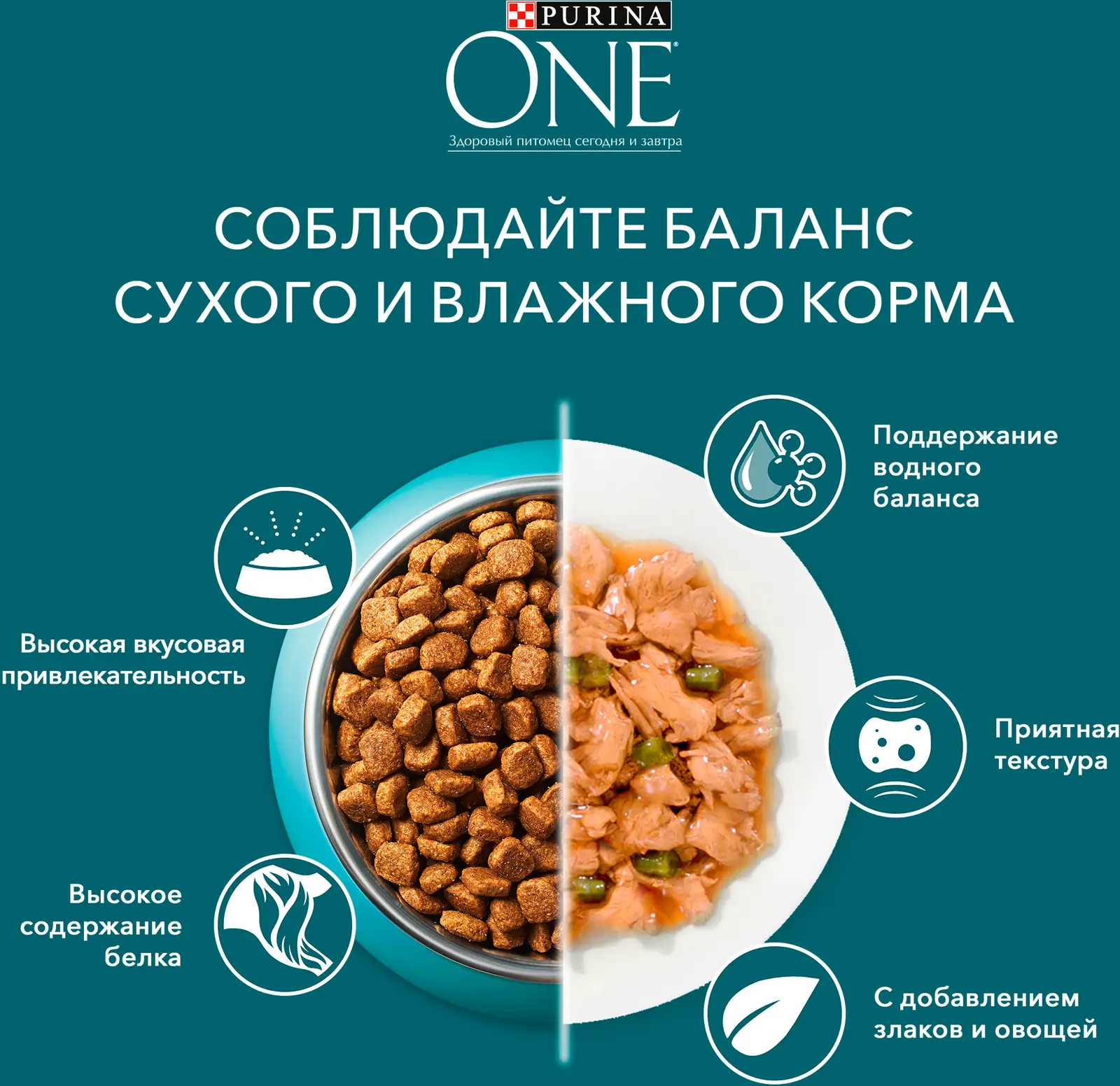 Сухой корм для кошек Purina One индейка злаки 9.75кг — в каталоге на сайте  сети Магнит | Краснодар