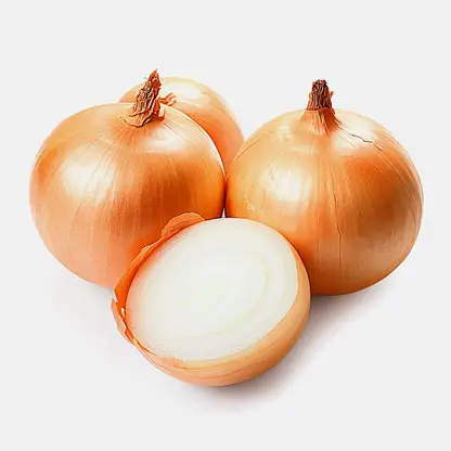Лук репчатый
