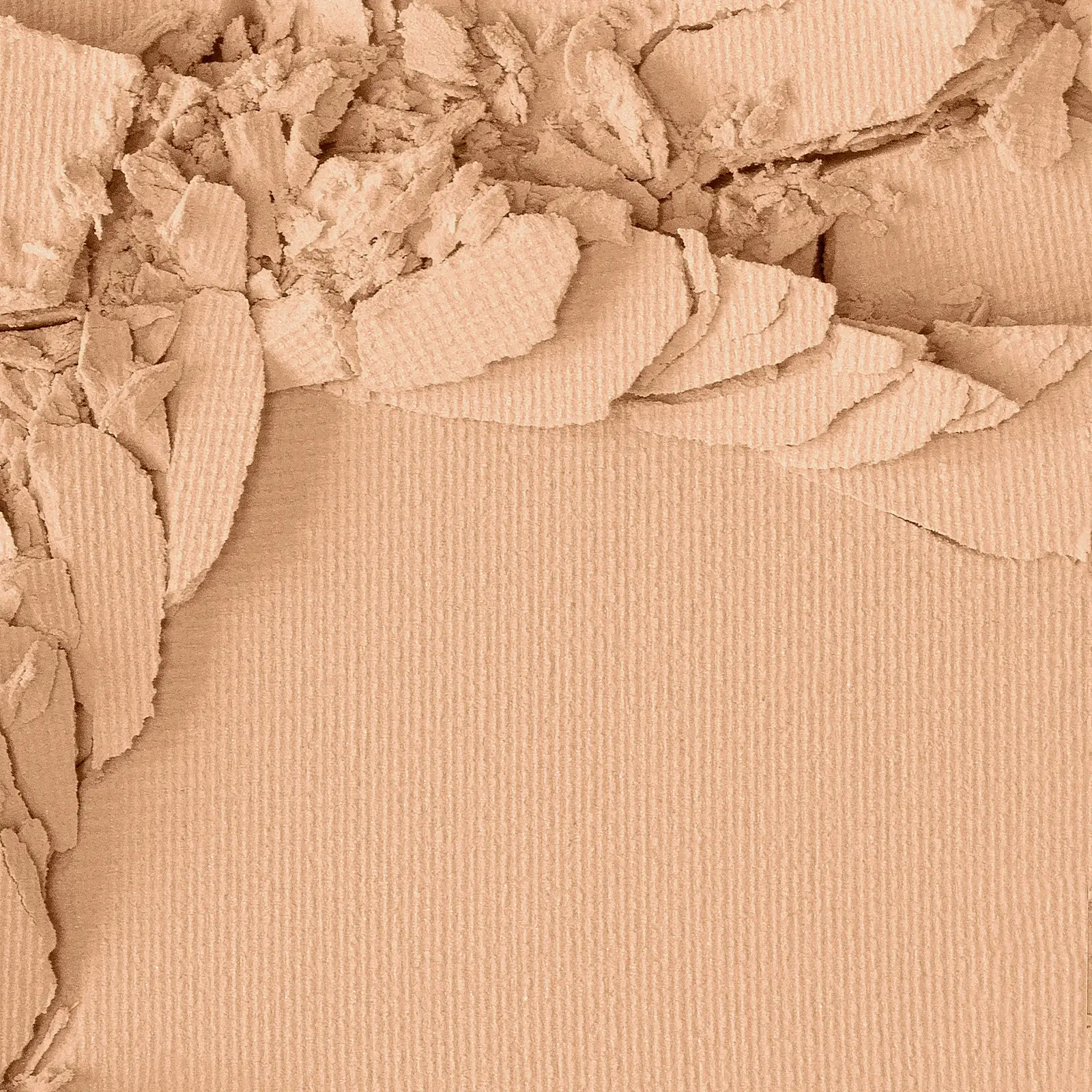 Пудра L’Oréal Paris Infaillible Fresh тон 20