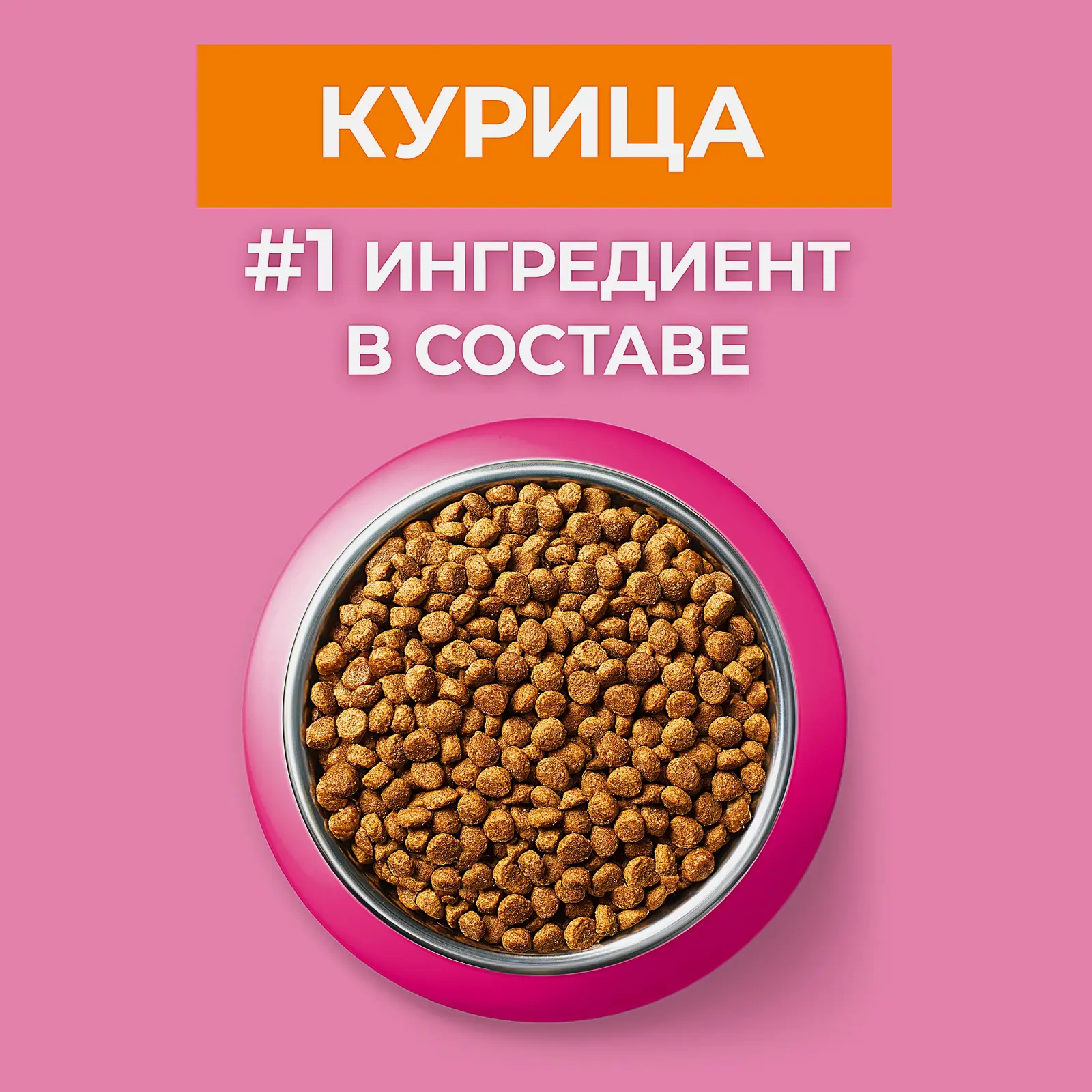 Сухой корм для котят Purina ONE с курицей и злаками 750г