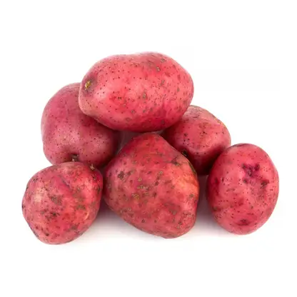 Изображение товара Картофель красный отборный