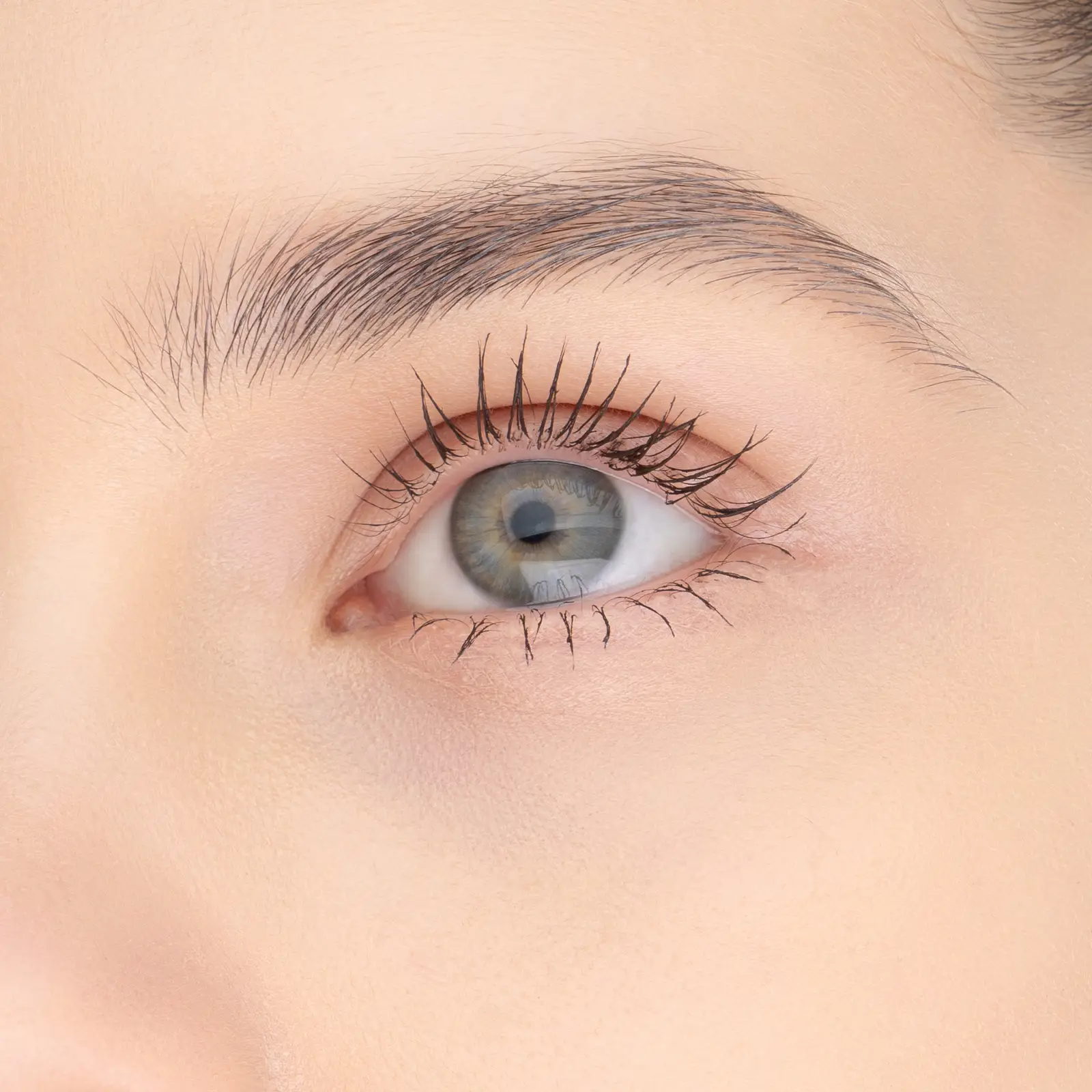 Тушь для ресниц L’Oréal Paris Volume Millions Lashes Panorama темно-коричневая