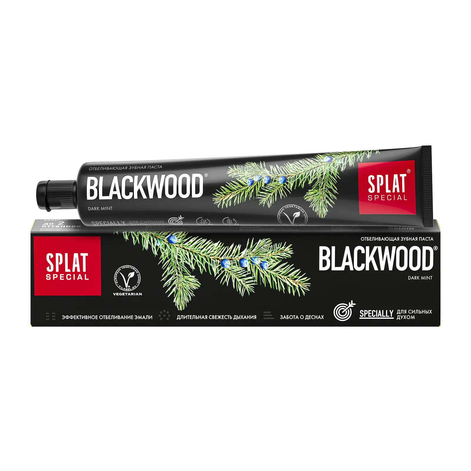 Зубная паста Splat Special Blackwood 75мл