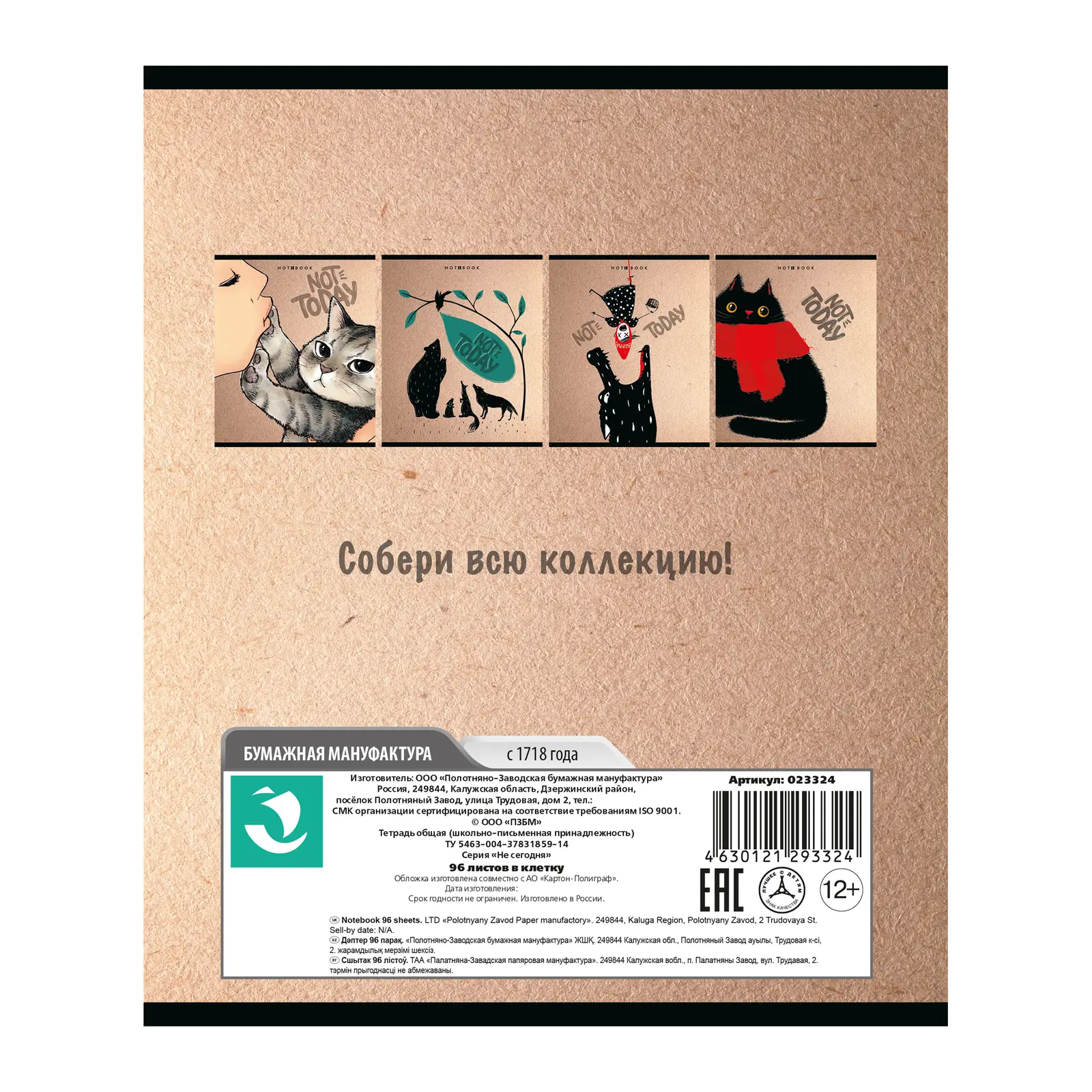Тетрадь ПЗБМ А5 серия Not Today клетка 96л