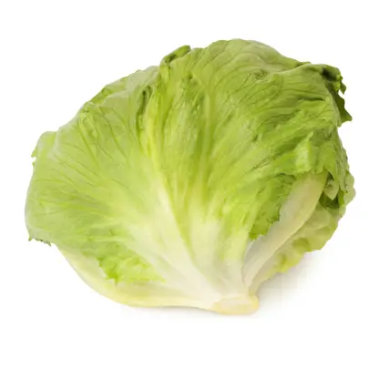 Изображение товара Салат Айсберг 1шт