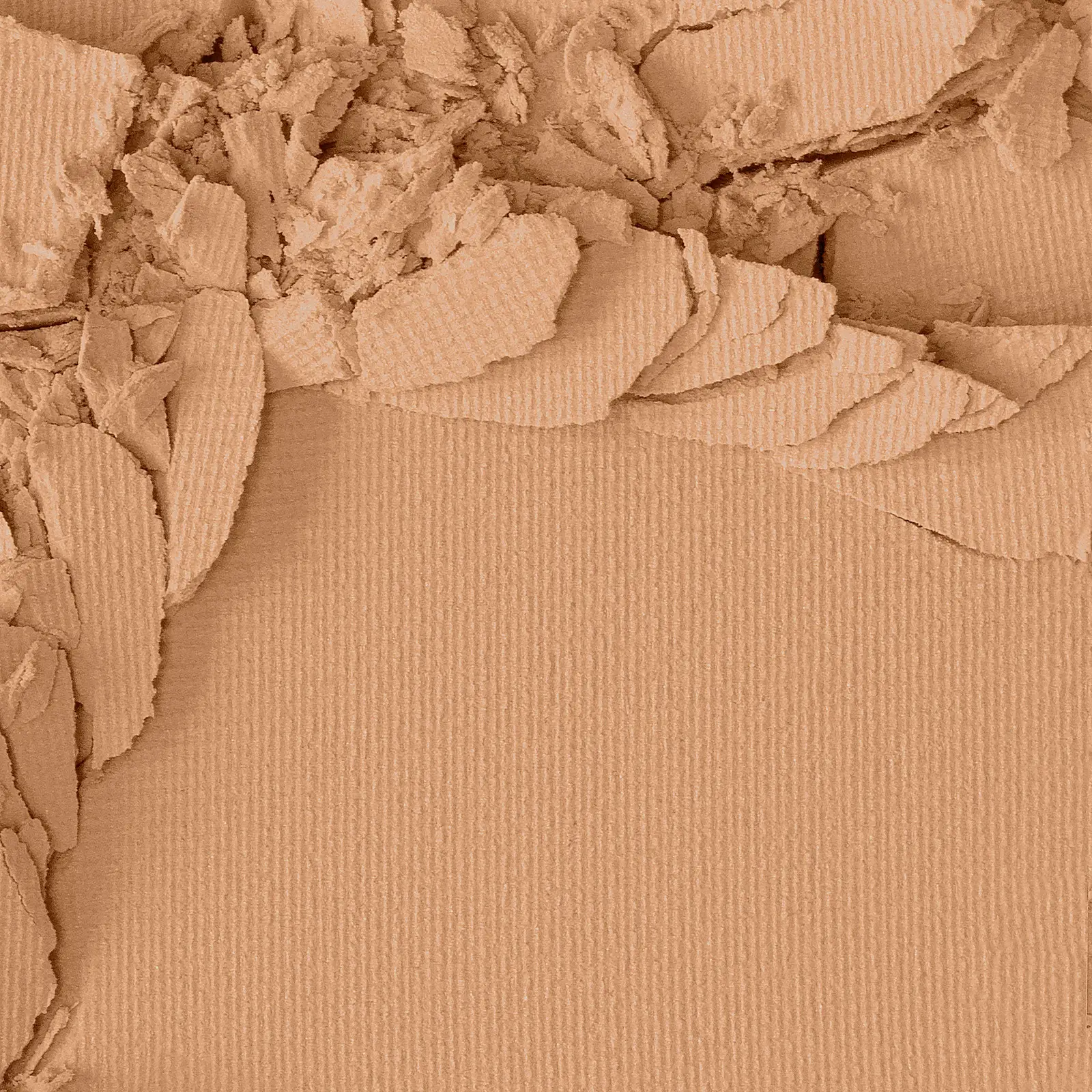 Пудра нового поколения для лица L’Oréal Paris Infaillible Свежий тон тон 120 