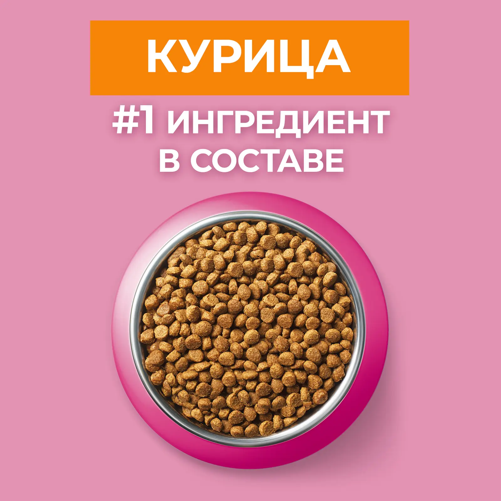 Сухой корм для котят Purina One с курицей и злаками 750г