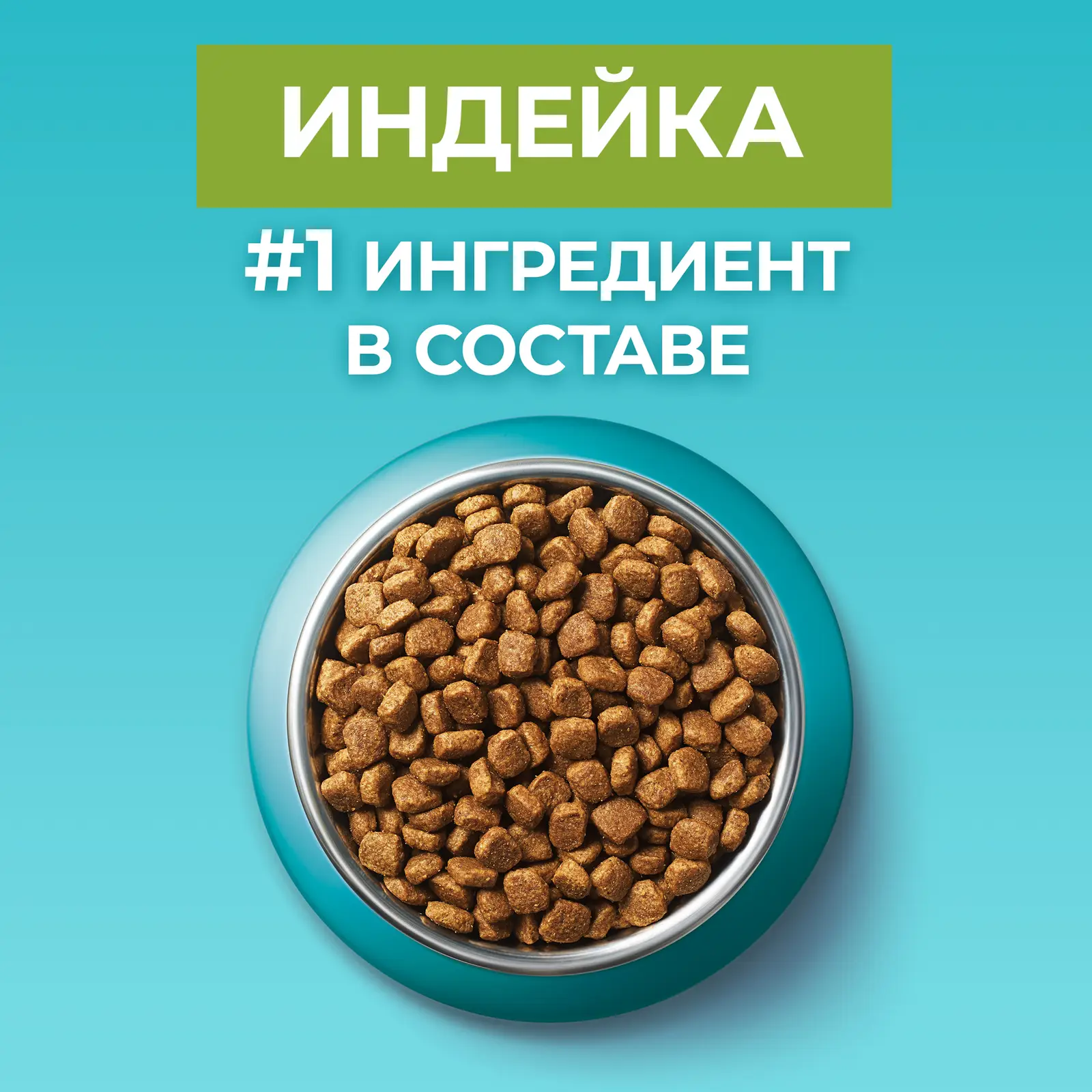 Сухой корм для кошек Purina One При чувствительном пищеварении с индейкой и рисом 750г