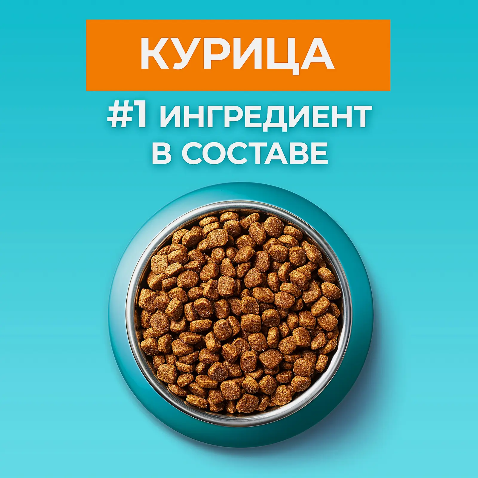 Сухой корм для стерилизованных кошек 2в1 с курицей и злаками Purina ONE 750г - фото 4 Сухой корм для стерилизованных кошек 2в1 с курицей и злаками Purina ONE 750г - фото 4