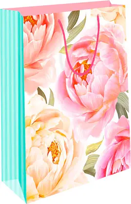 Изображение товара Пакет Арт Дизайн подарочный бумажный ВС 18*22.3*10см в ассортименте