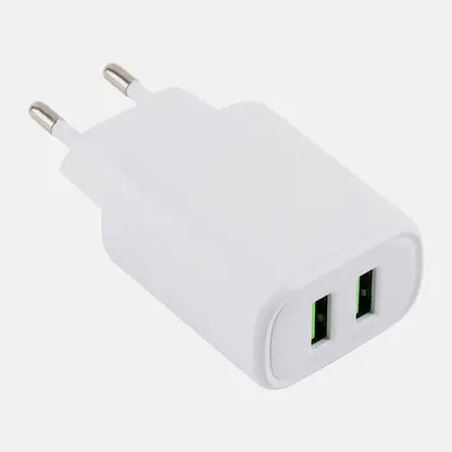 Сетевое зарядное устройство Wellfort 2 USB 2A WX22091438