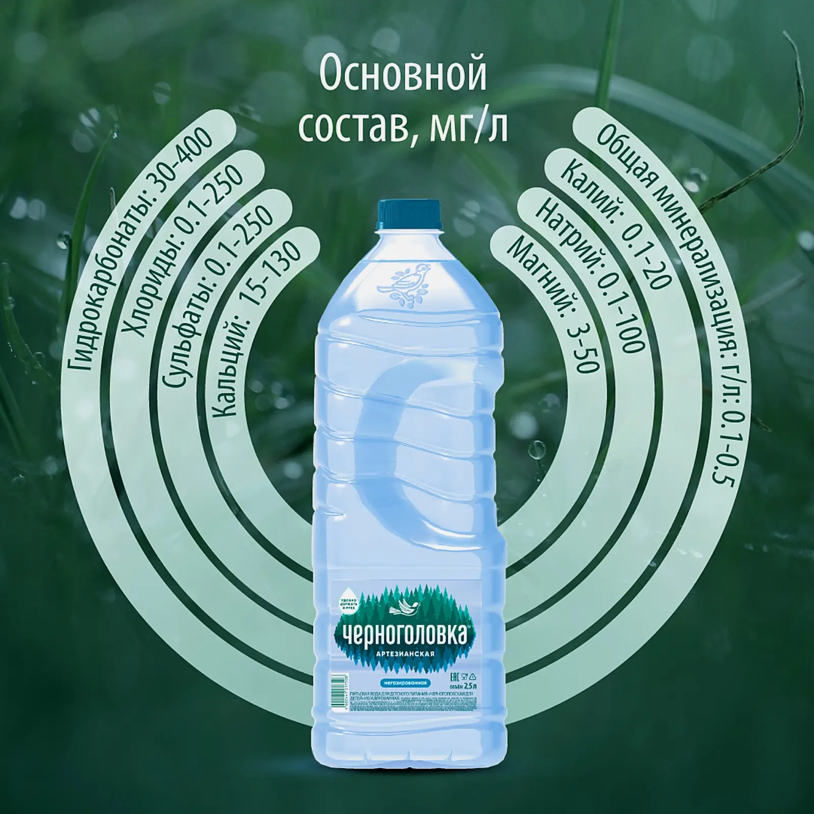 Вода Черноголовка питьевая для детского питания негазированная 2.5л