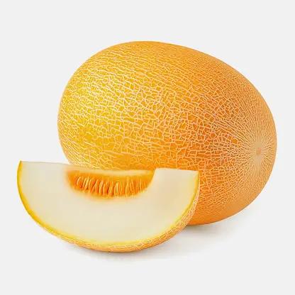 Дыня