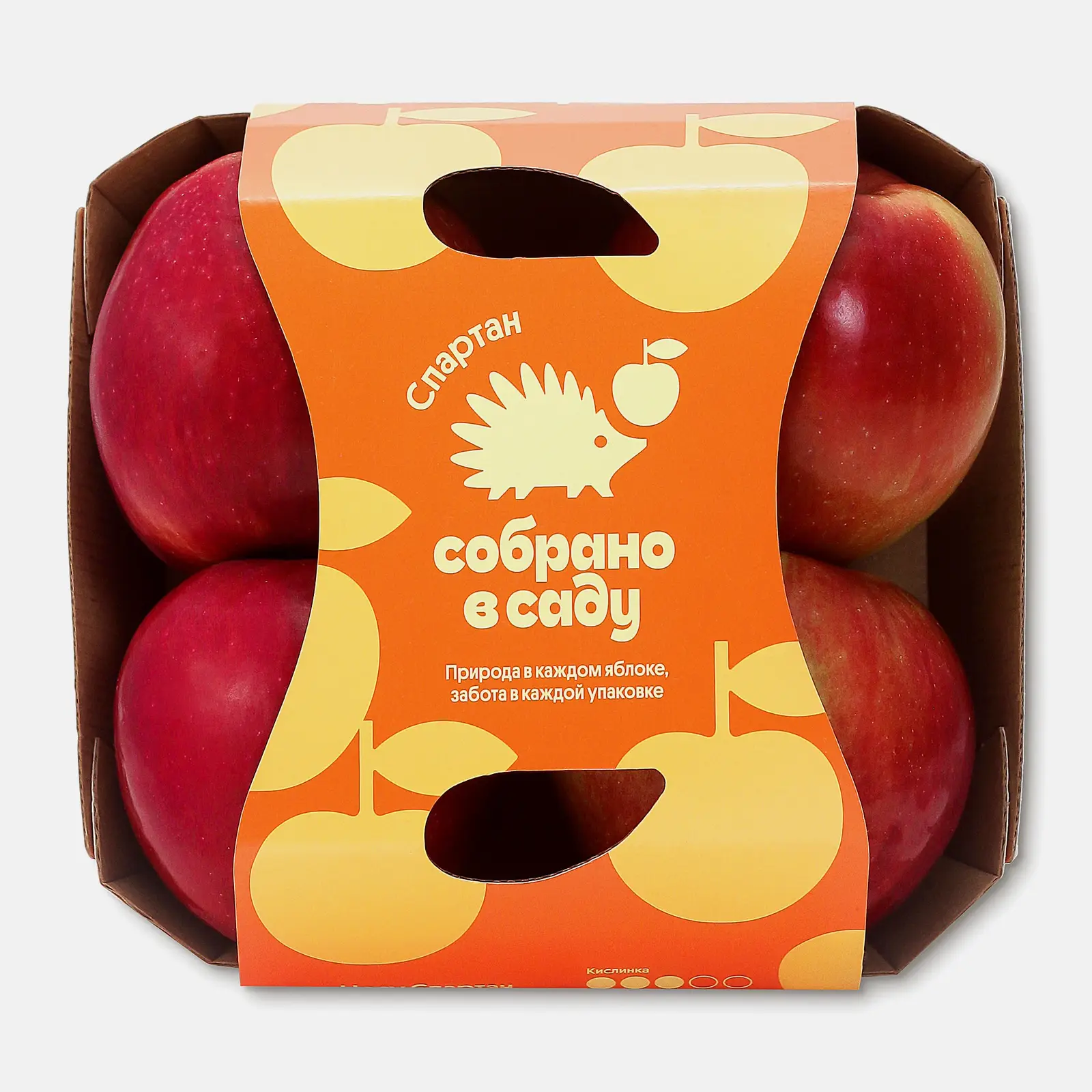 Яблоки Спартан Собрано в саду 4шт
