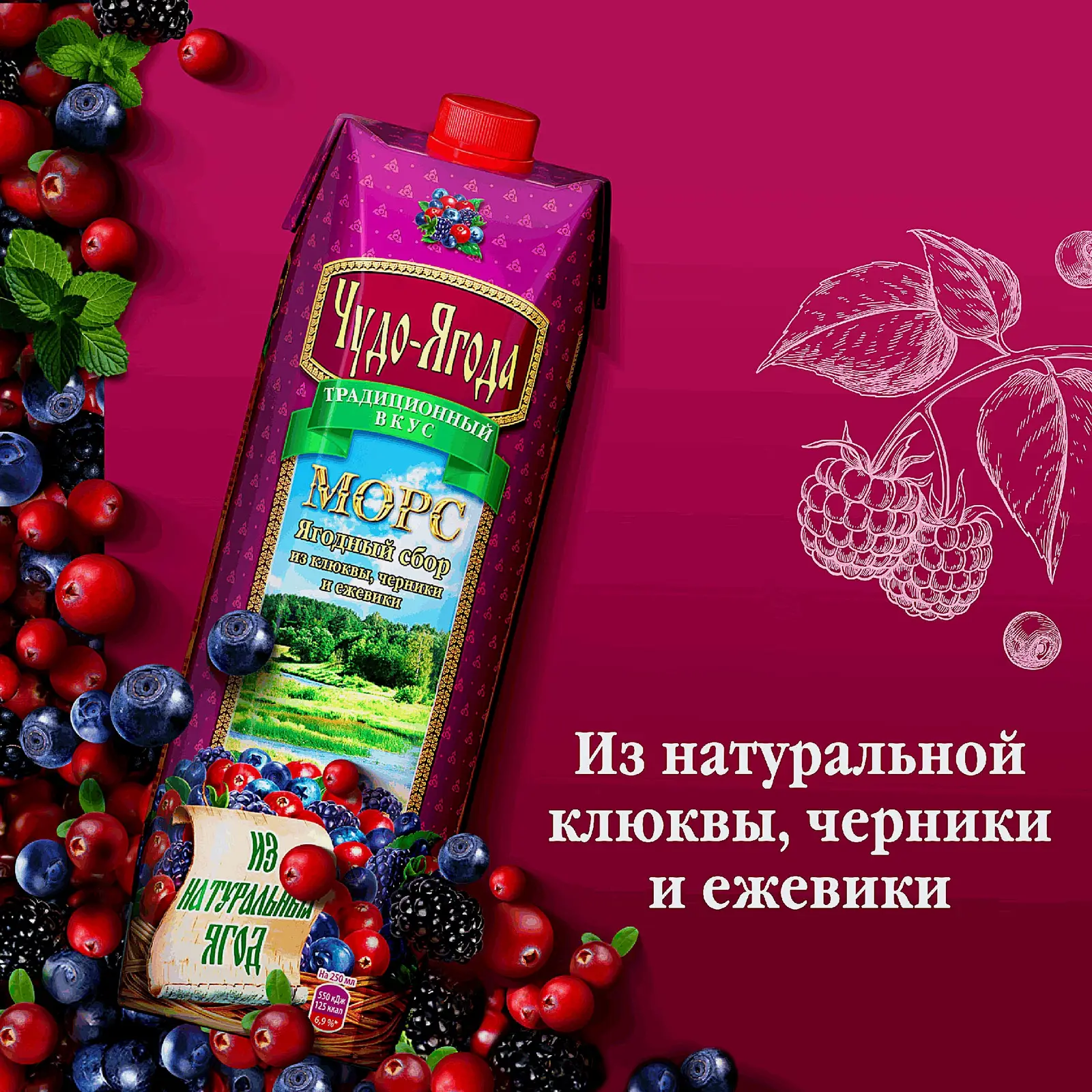 Морс Чудо-ягода из клюквы черники и ежевики 970мл - фото 2 Морс Чудо-ягода из клюквы черники и ежевики 970мл - фото 2
