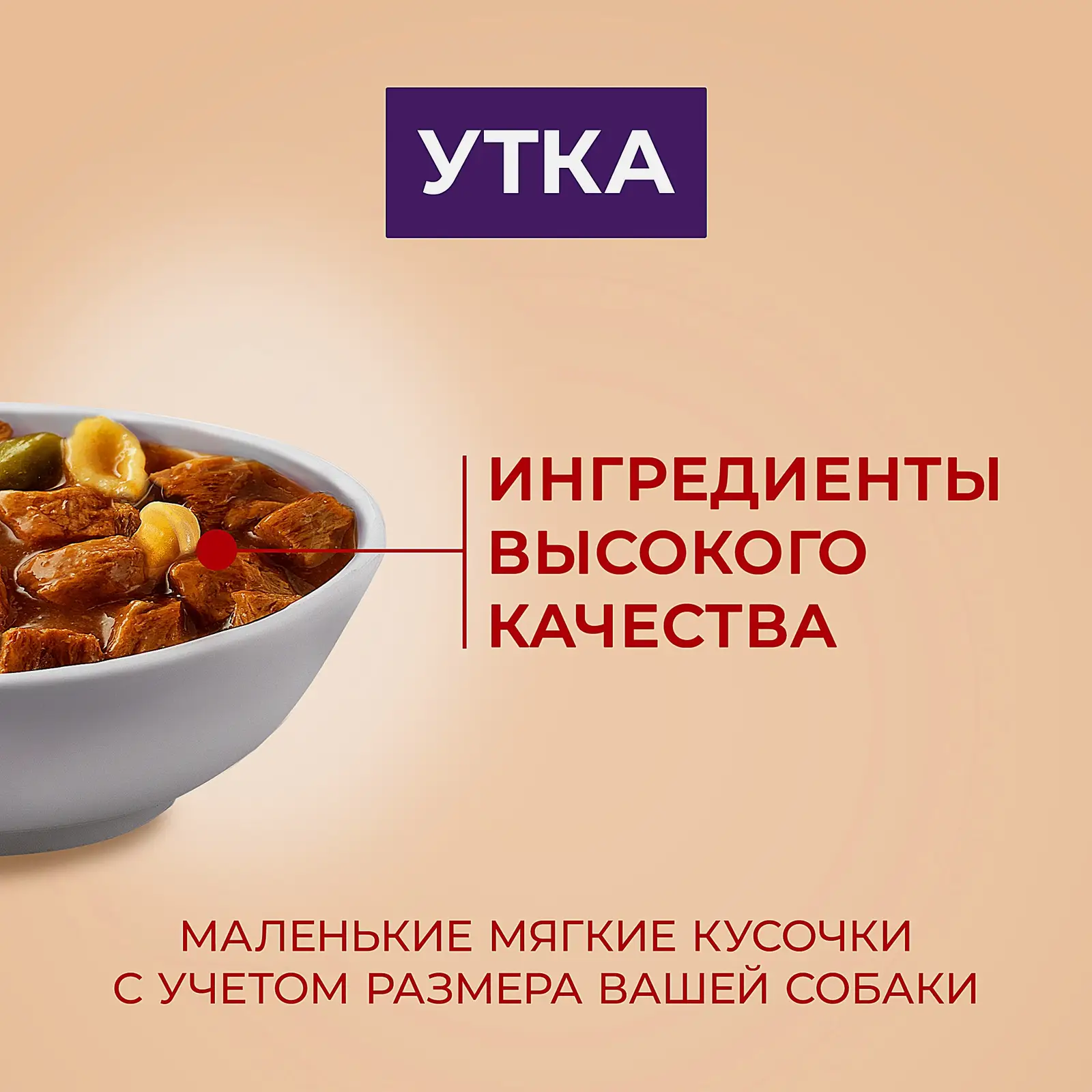 Влажный корм для мини собак Purina One Актив с уткой пастой и зеленой фасолью в подливе 85г