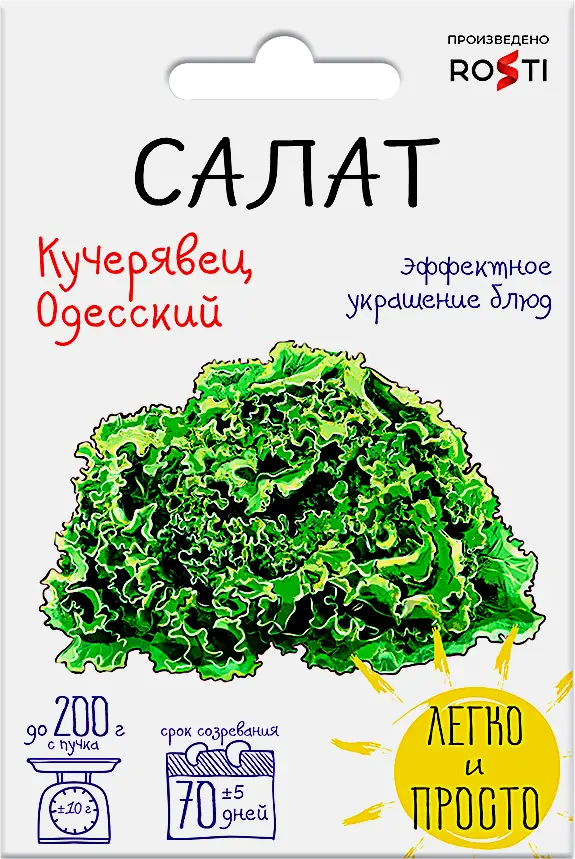 Изображение товара Семена Рости ТПК Салат полукачанный Кучерявец Одесский