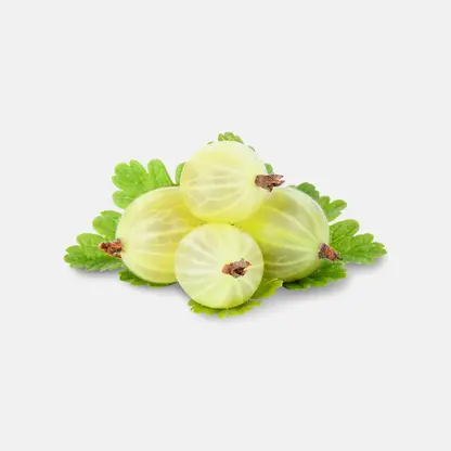 Крыжовник
