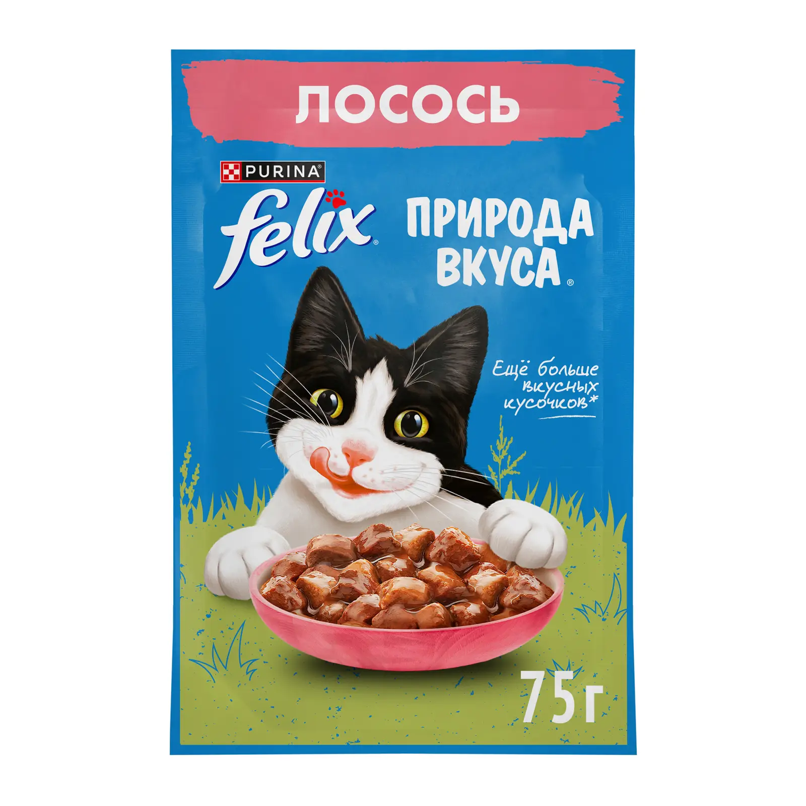 Влажный корм для кошек Felix Природа вкуса c лососем в соусе 75г