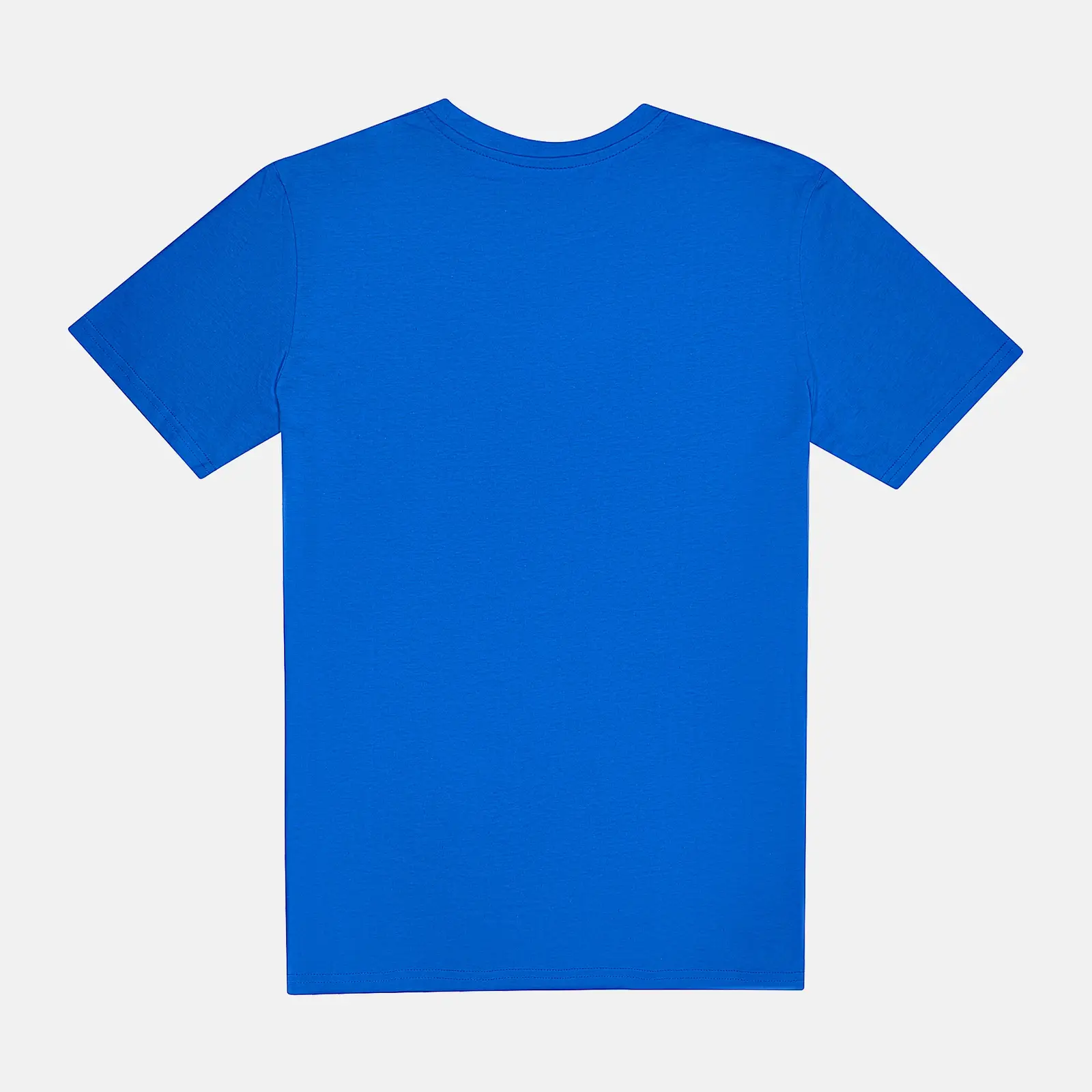 Футболка мужская Vlast 2110103016 синяя рL