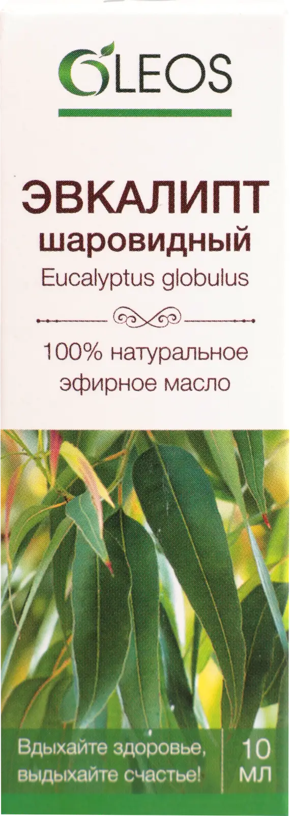 Масло эфирное Oleos эвкалипт 10мл — в каталоге на сайте сети Магнит |  Краснодар