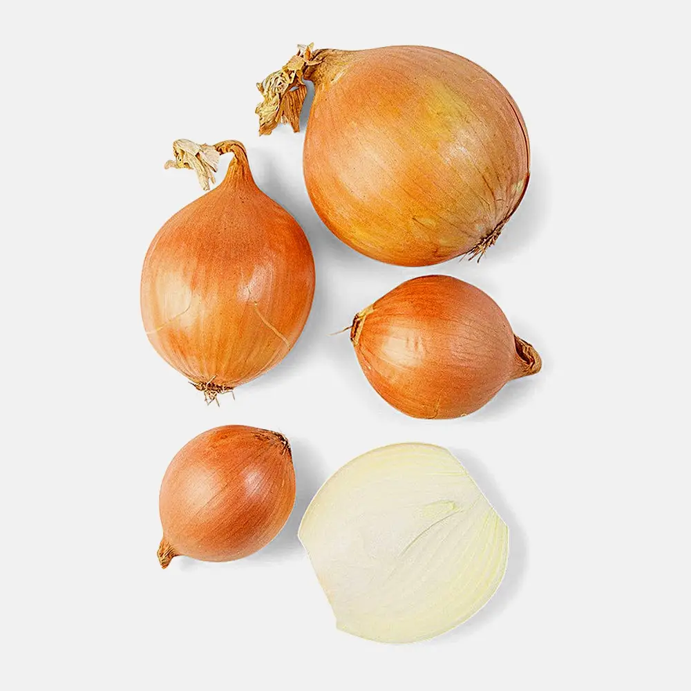 Изображение товара Лук репчатый желтый 1.5кг