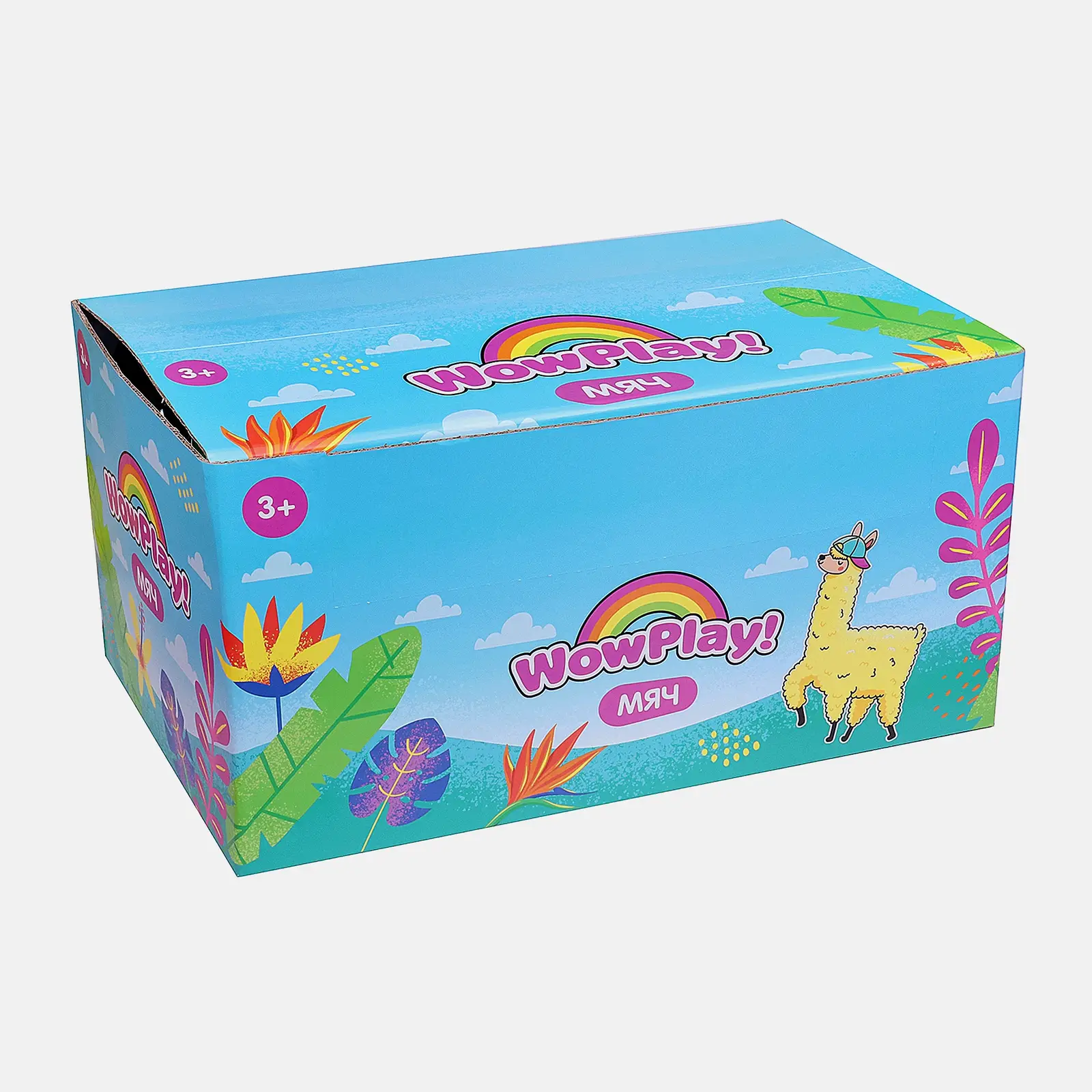 Мяч WHJ3102602 ММ 10см в ассортименте