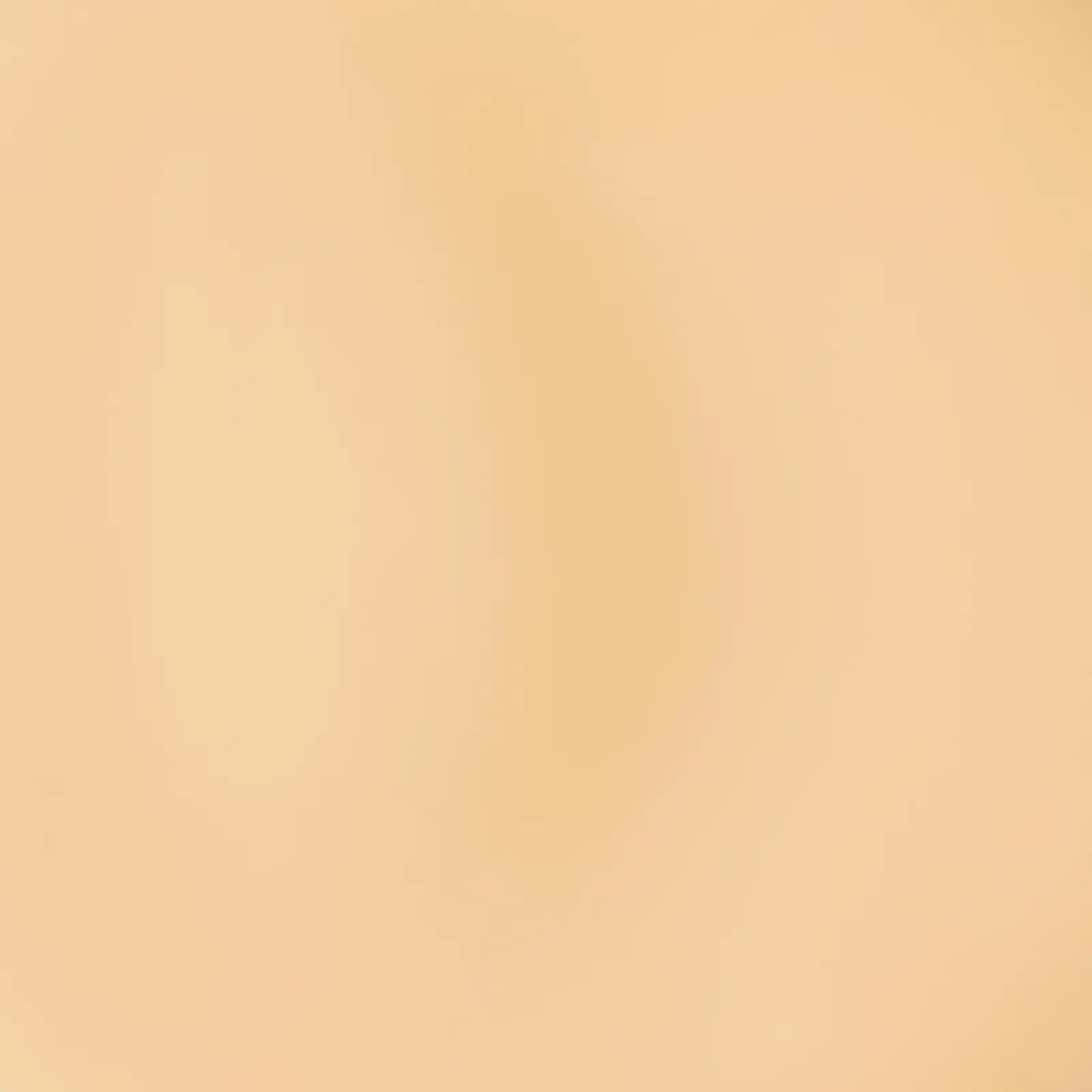 Консилер L’Oréal Paris Alliance Perfect The One тон 2.N