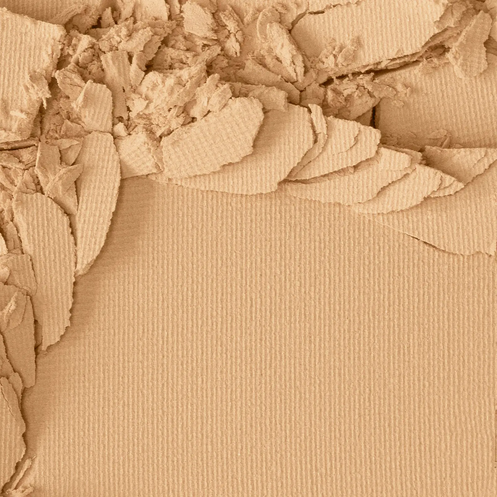 Компактная пудра L’Oréal Paris Alliance Perfect Минеральная тон 2.R/2.C 