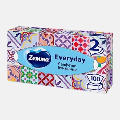 Салфетки бумажные Zemma Everyday 2 слоя 100шт в ассортименте