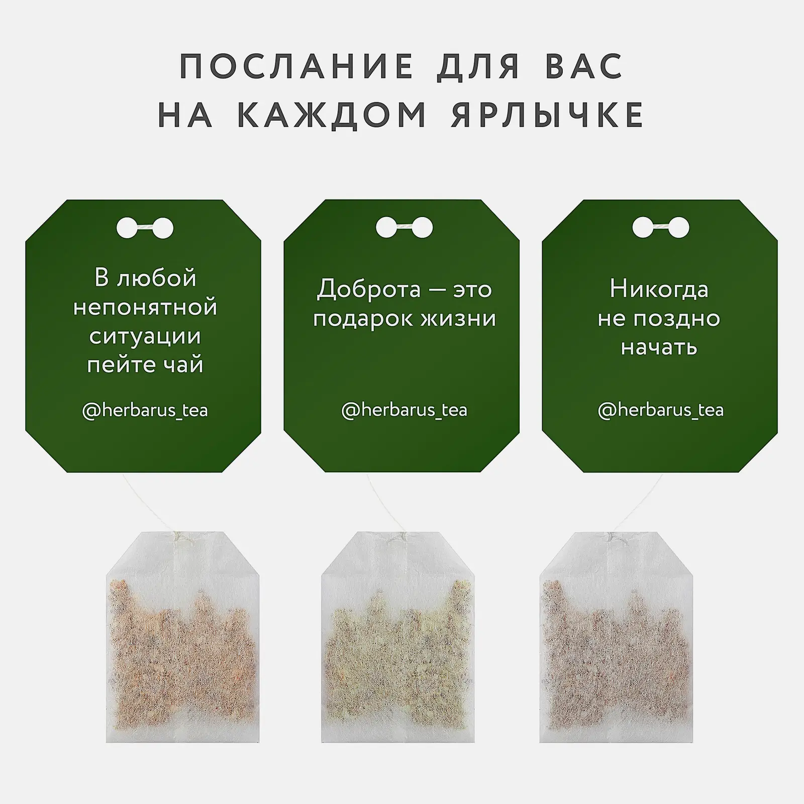 Чайный напиток Herbarus Спокойствие Баланс 24пак