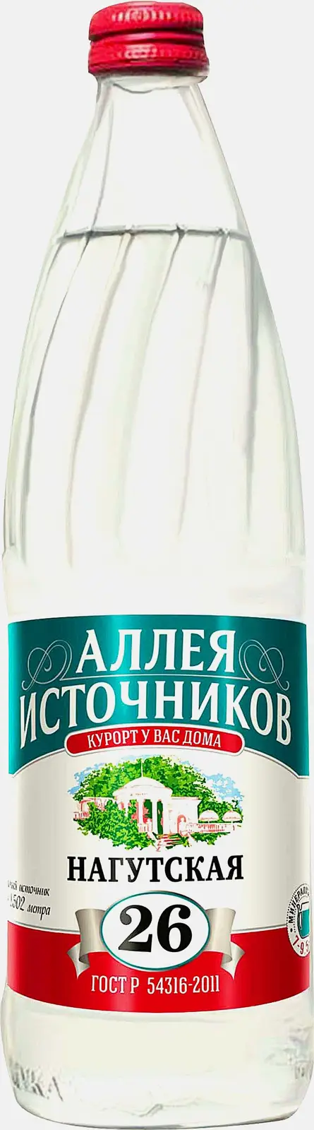 Вода Старый источник минеральная газированная 500мл - фото 2