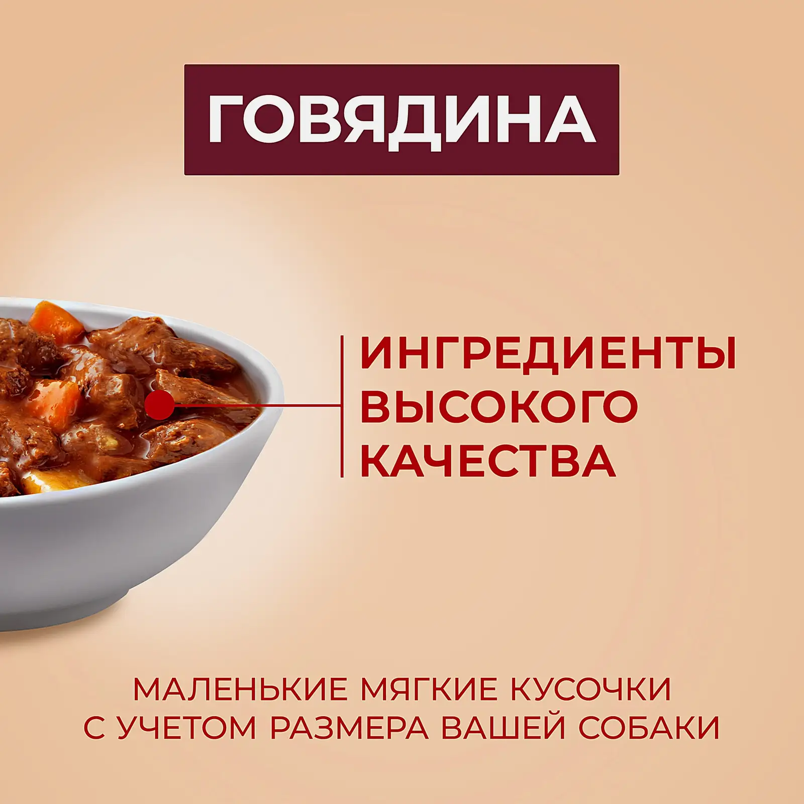 Влажный корм Purina One Мини Активная для взрослых собак мелких и карликовых пород с говядиной картофелем и морковью в подливе 85г