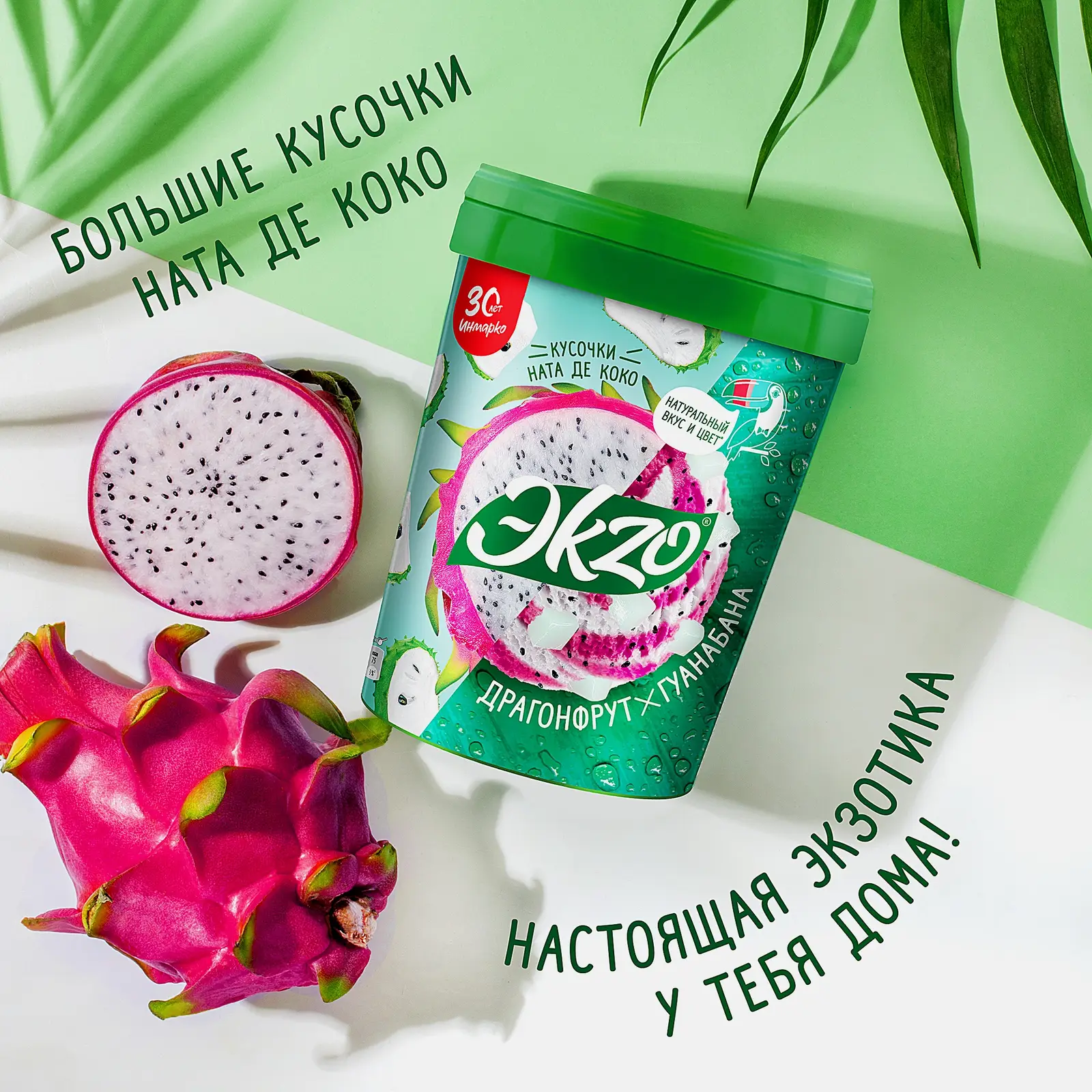 Молочное мороженое Драгонфрут-Гуанабана с кусочками ната де коко Экзо 520г