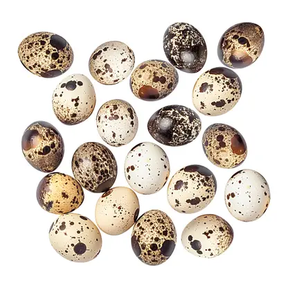 Изображение товара Яйца перепелиные 20шт