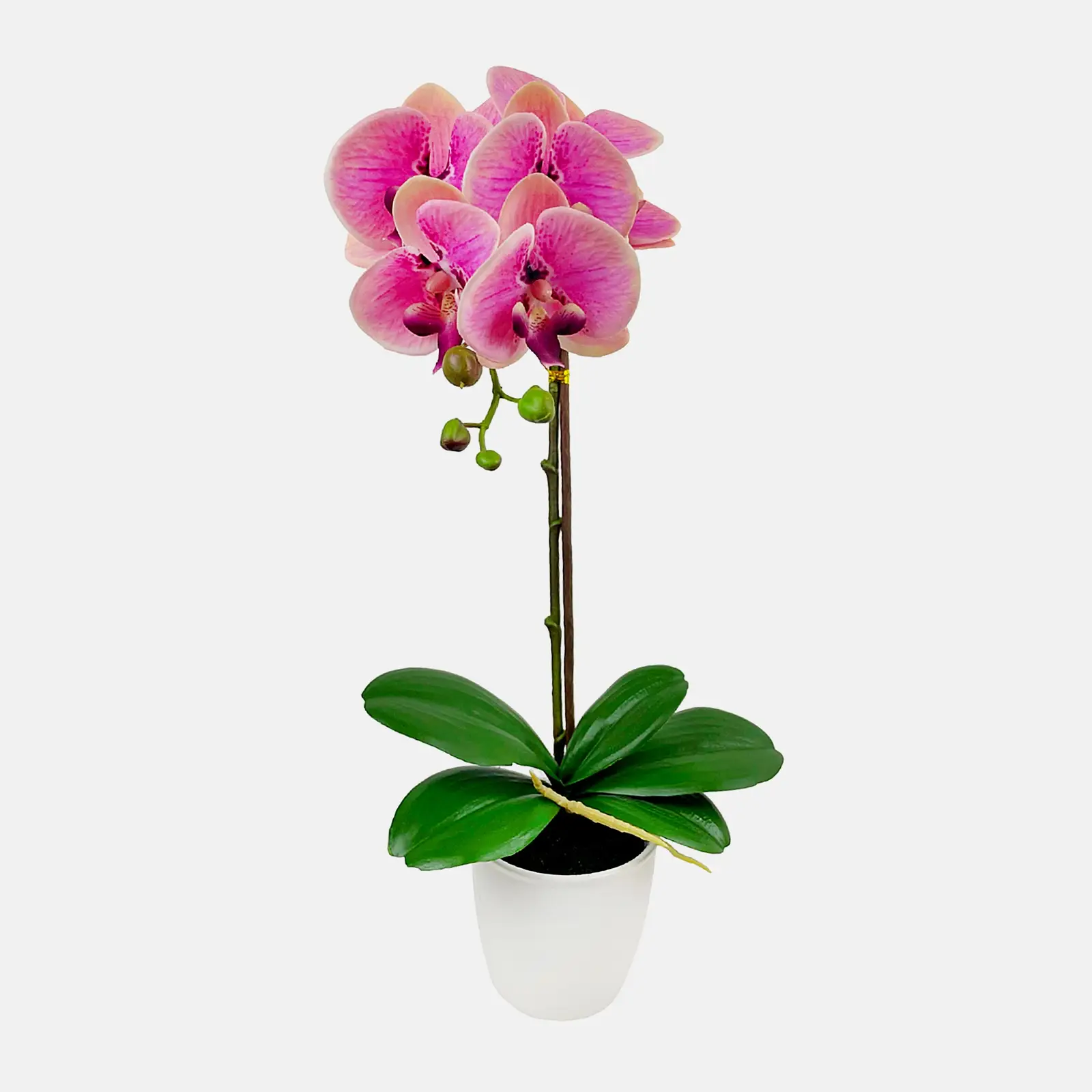 Искусственное растение Ningbo Mascube Орхидея 48см в ассортименте