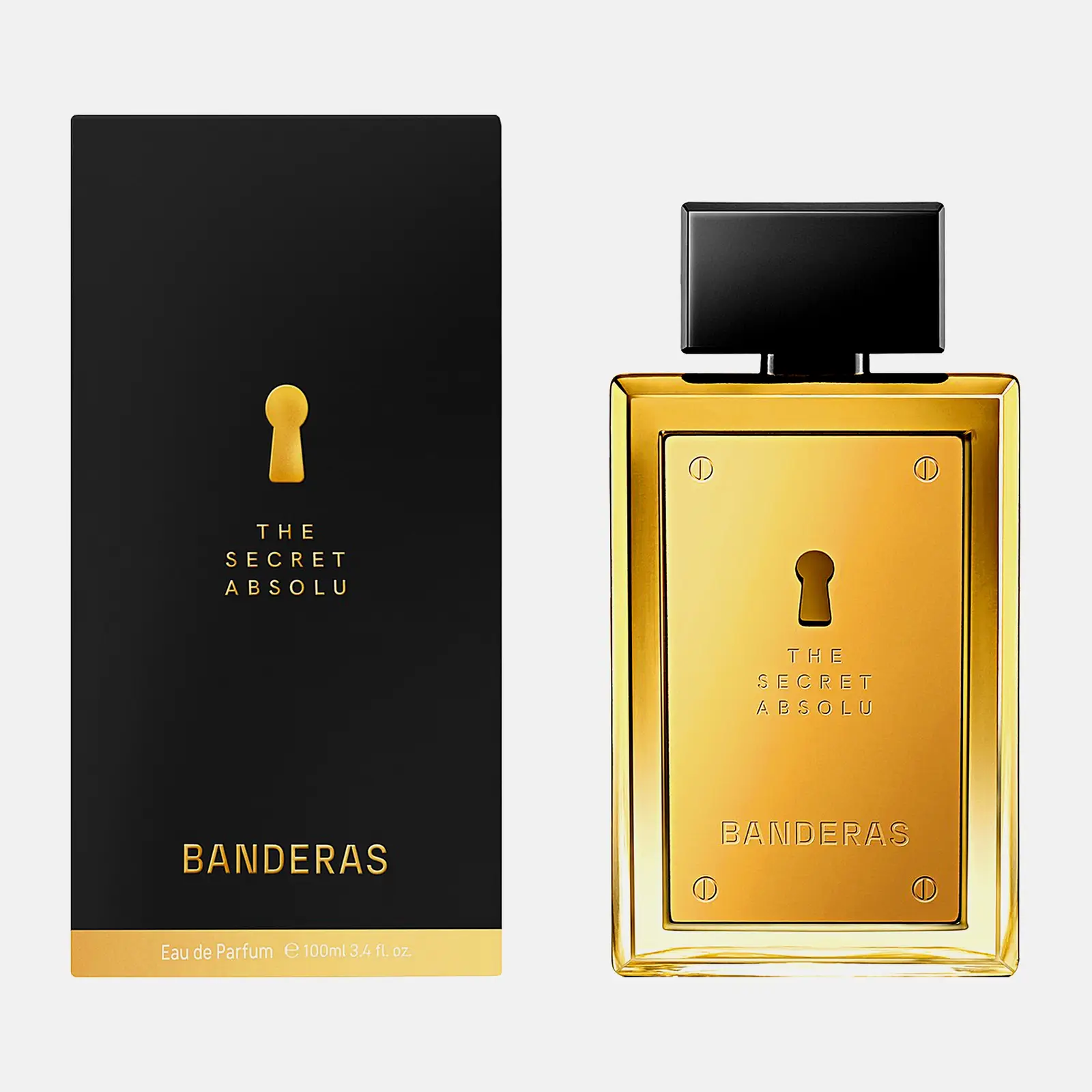 Парфюмерная вода The Secret Absolu Antonio Banderas/Banderas мужская 100мл - фото 2