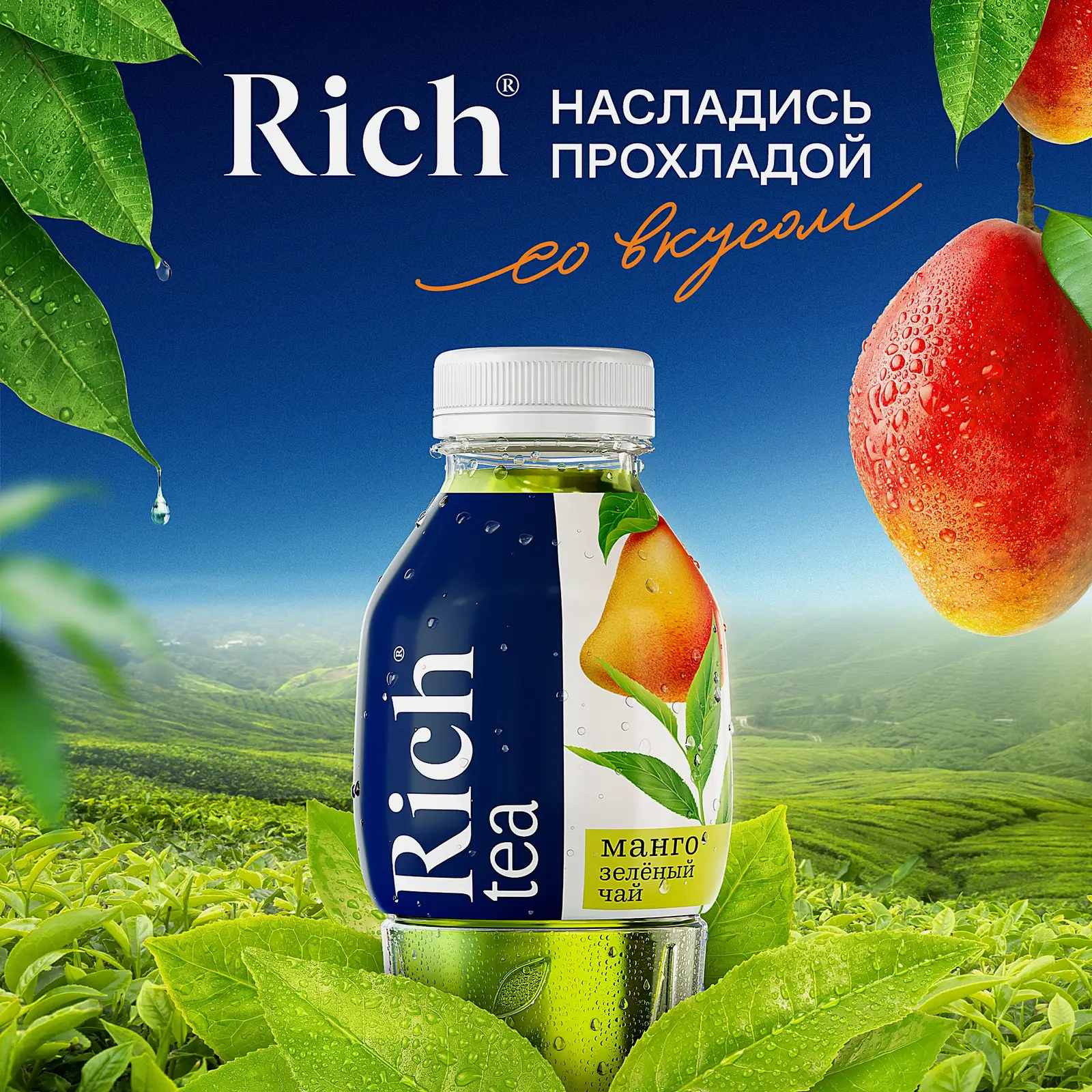Напиток Rich Tea Чай зеленый холодный Манго 500мл