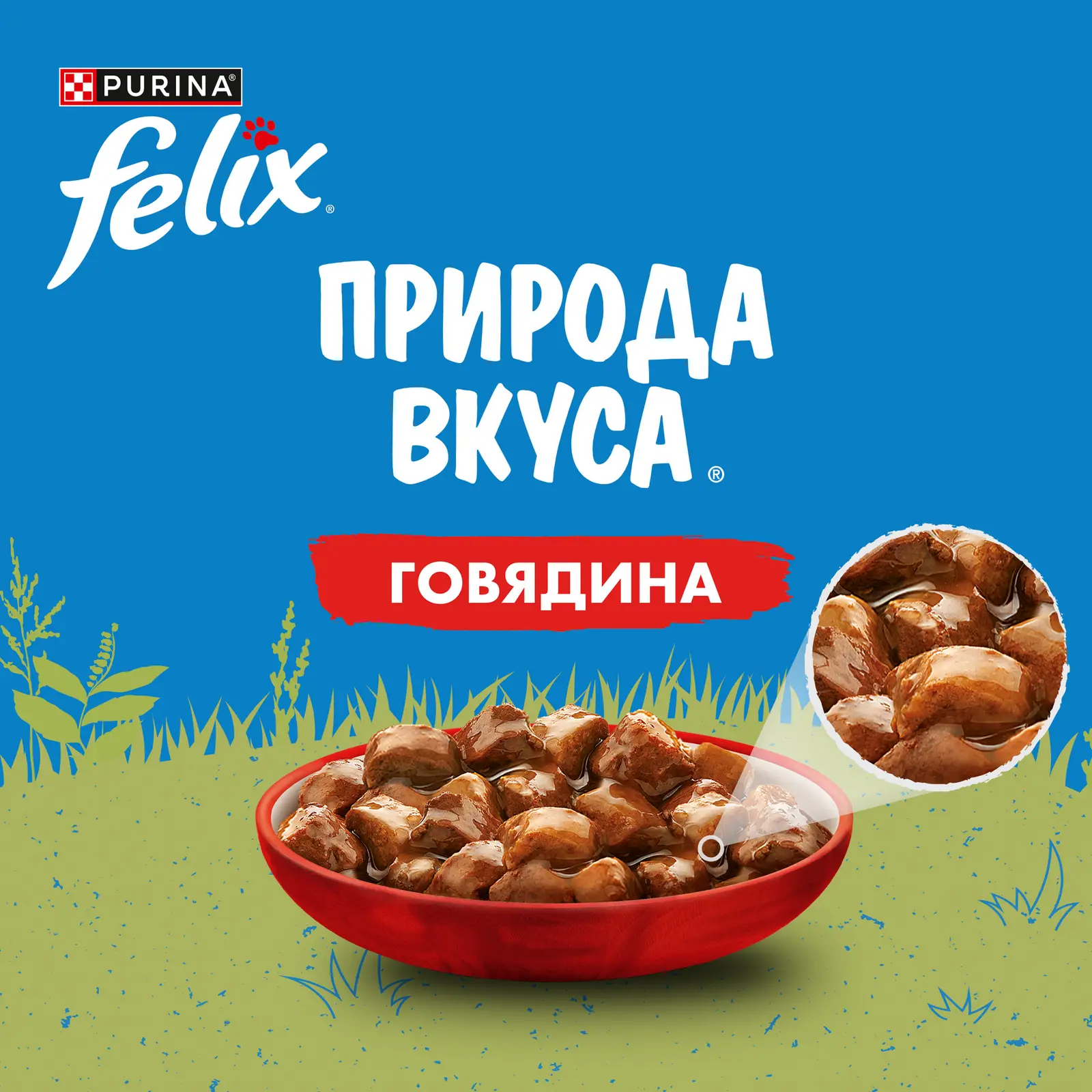 Влажный корм для кошек Felix Природа вкуса с говядиной в соусе 75г