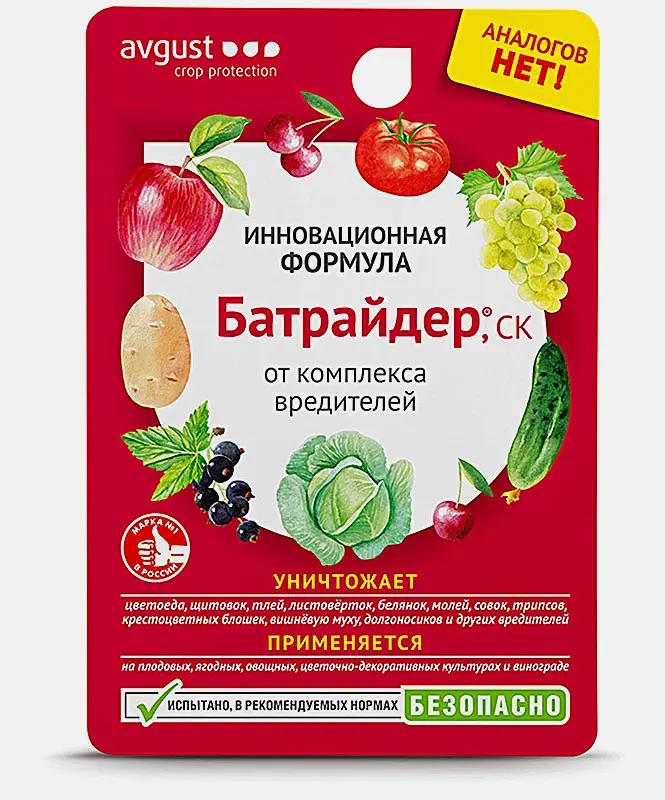 Семена Август Батрайдер 10мл