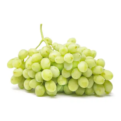 Изображение товара Виноград белый без косточек 500г