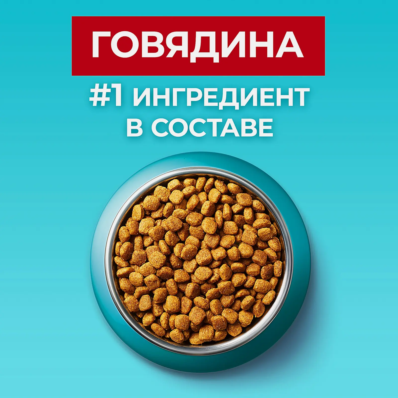 Сухой корм для взрослых кошек с говядиной и цельными злаками Purina ONE 750г - фото 4 Сухой корм для взрослых кошек с говядиной и цельными злаками Purina ONE 750г - фото 4