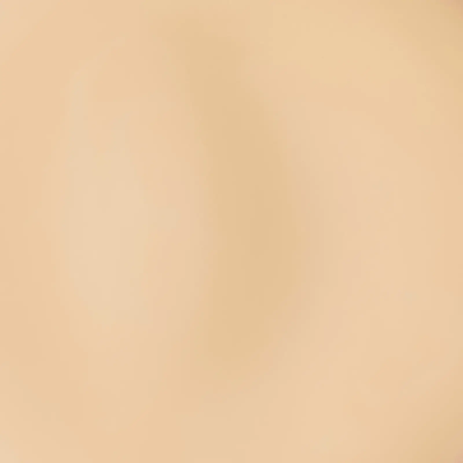 Консилер для лица тон 1.N L’Oréal Paris Alliance Perfect